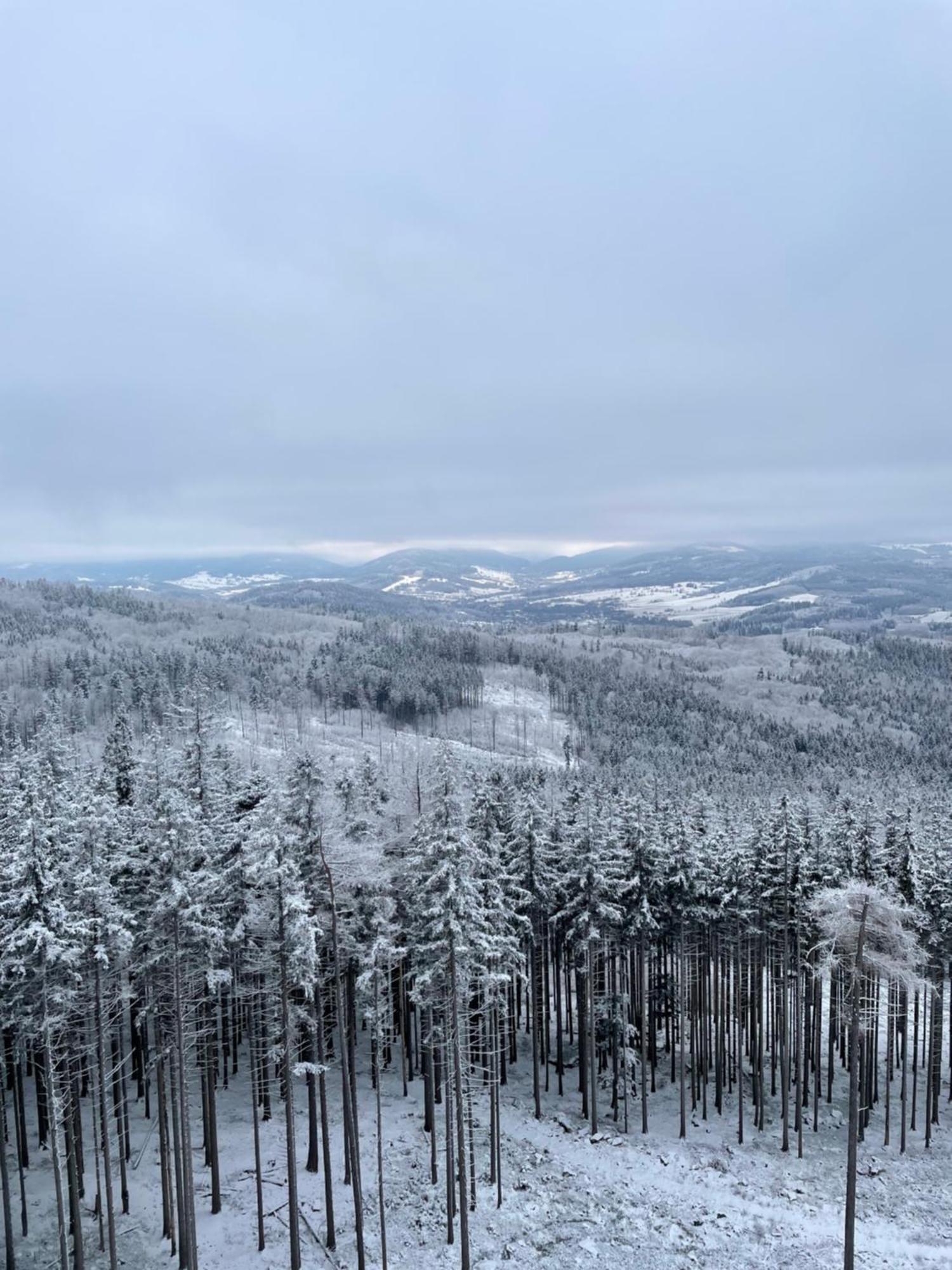 Willa Toskania Lądek-Zdrój Exteriér fotografie